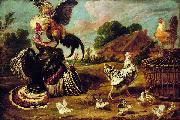 Paul de Vos The fight between a turkey and a rooster Spain oil painting artist